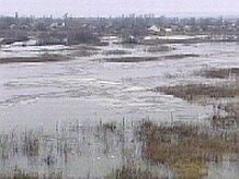 Заказ меню для детского праздника