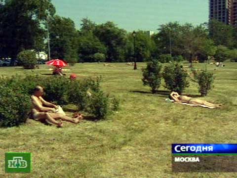 Лунный календарь на 2015 год садовода и огородника скачать
