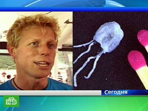 На праздник Кричалки шумелки для веселой компании Конкурсы и игры для старшей школы - Для