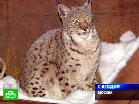 Областная детская поликлиника в белгороде телефон регистратуры