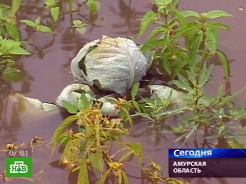 Хорошие новости магазин мега