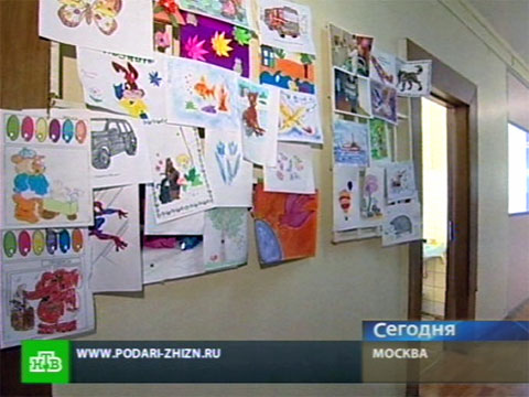 Нтв фонд подари жизнь Нтв фонд подари жизнь
