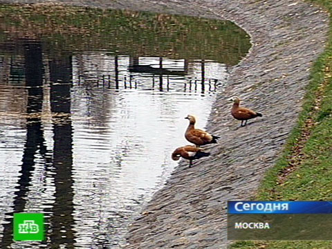 Детские игровые комнаты челябинск проведение праздника