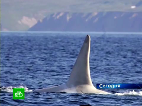 Новости ru по украине