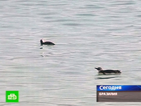 Порно зрелых - видео со взрми женщинами 30,40,50