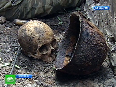 В воронеже солдат вов захоронили как бомжей - в безымянных м.