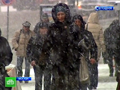 Погода краснодар на месяц от гисметео