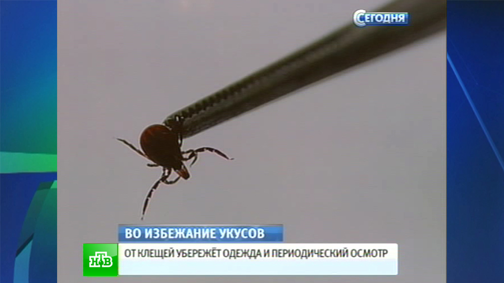 Что будет если заснуть с макияжем Что будет если заснуть с макияжем