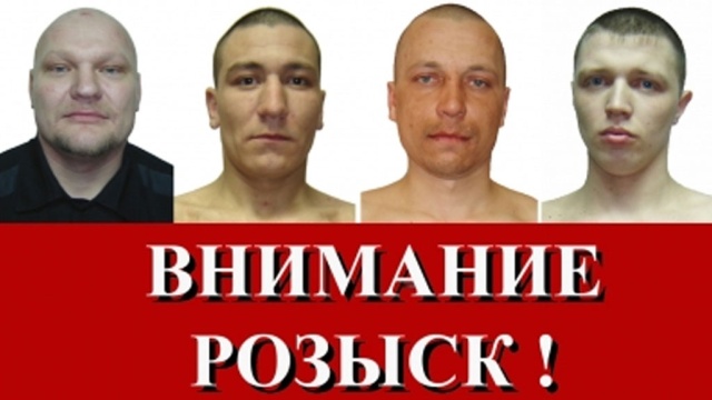 Новости о трамваях в санкт-петербурге