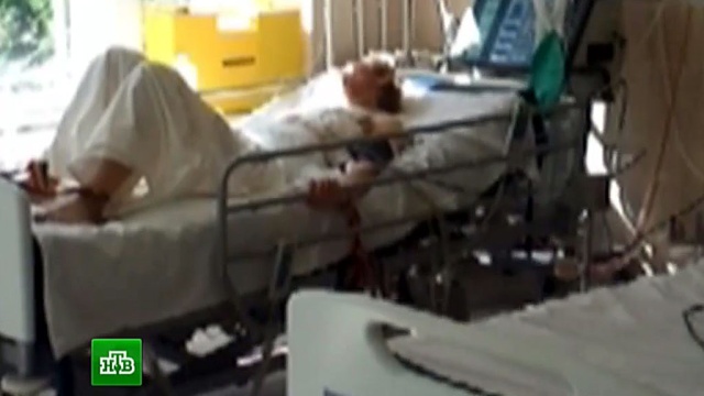 Смотреть видео с кошками до слёз