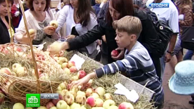 Латышские праздники Латышские праздники