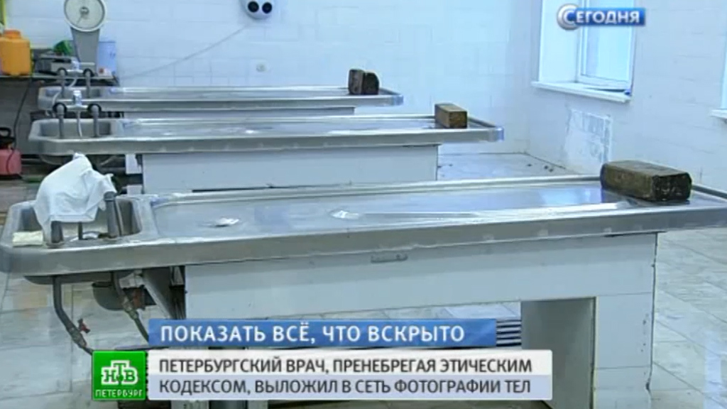 Держался передними лапами