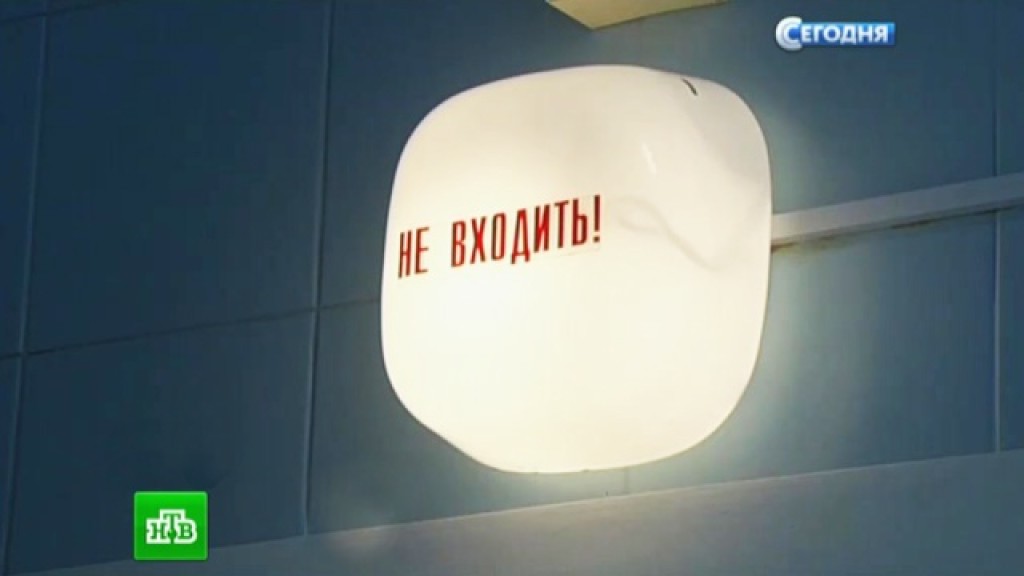 Гатчинские ветеринарные клиники