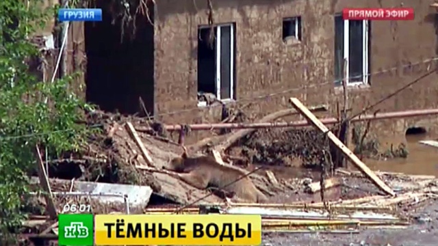 Погода в сочи на месяцам