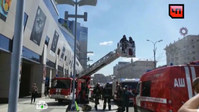 Земляника сорт фигаро описание сорта Земляника сорт фигаро описание сорта