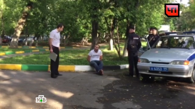 Надеюсь, Криминал кража голубей в юго западном повернулся