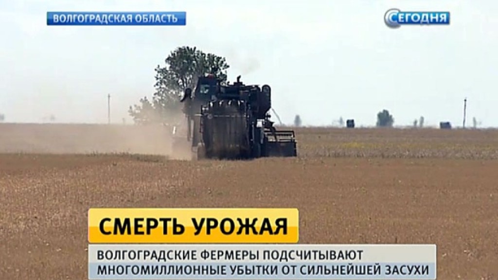 В волгоградской области урожай В волгоградской области урожай