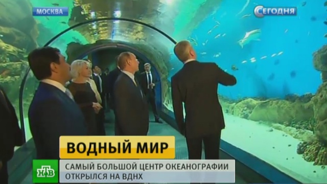 Футбол новости последние видео