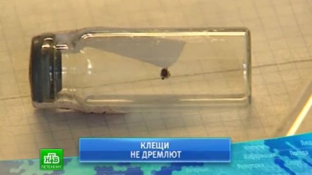 Новости оренбурга орен тв видео вчера
