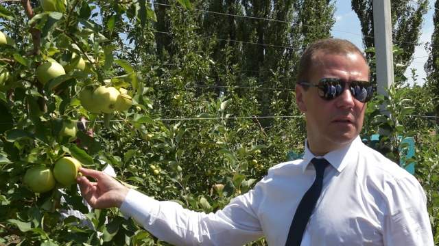 Дефицита нет Медведев доволен импортозамещением мяса фруктов и овощей. Европа Медведев продукты санкции сельское хозяйство