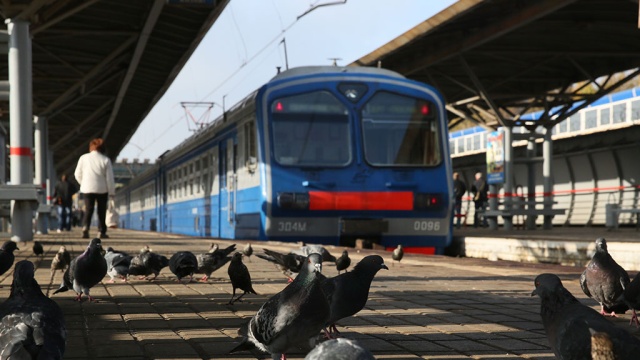 Электричка насмерть сбила подростка в Подмосковье. Московская область,дети и подростки,несчастные случаи,поезда,полиция