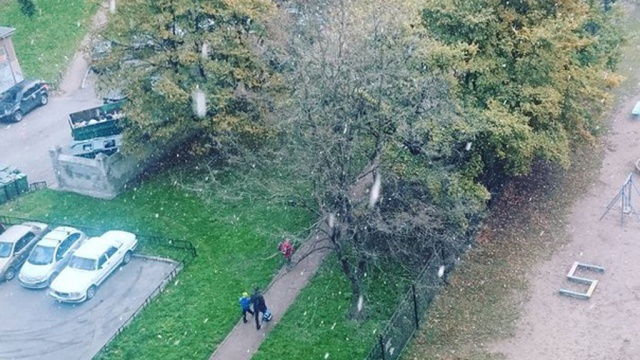 Погода в зубцове на июнь