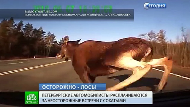 Где в санкт-петербург больницы детские