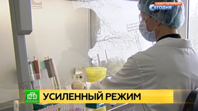 Выщипываем брови форум Выщипываем брови форум