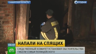 декоративный чеснок цветы фото