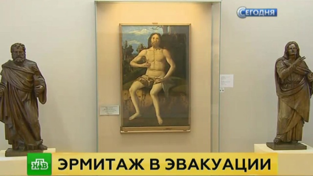 Новости происшествия дтп криминал в тульской области