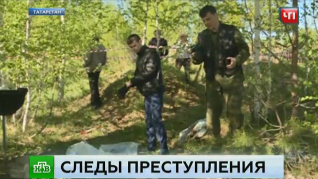 Городская больница новомосковск тульская