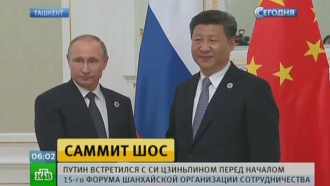 Картинки по запросу шос большая восьмерка