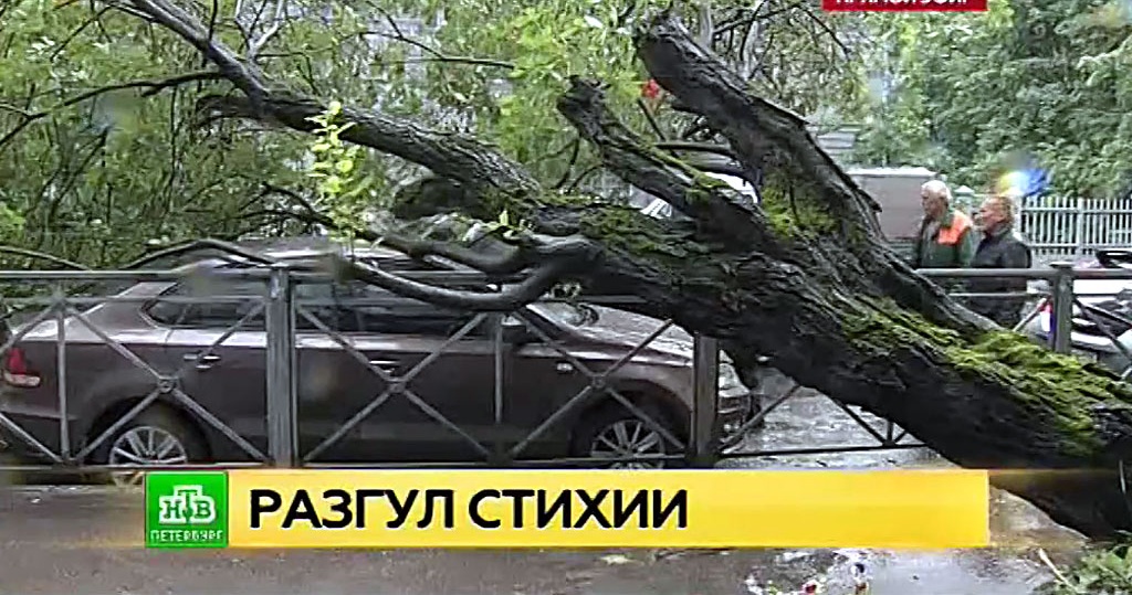 Погода во владивостоке в начале июня