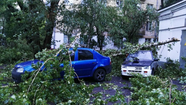 Число пострадавших от грозы в столице РФ и Подмосковье достигло 7-ми человек