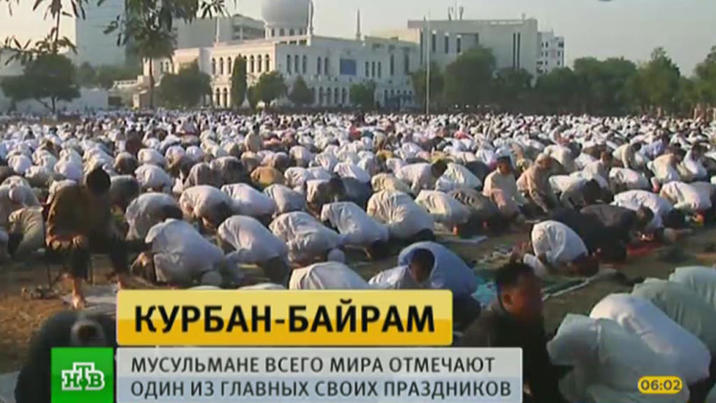 Солнечный календарь на январь 2016 года