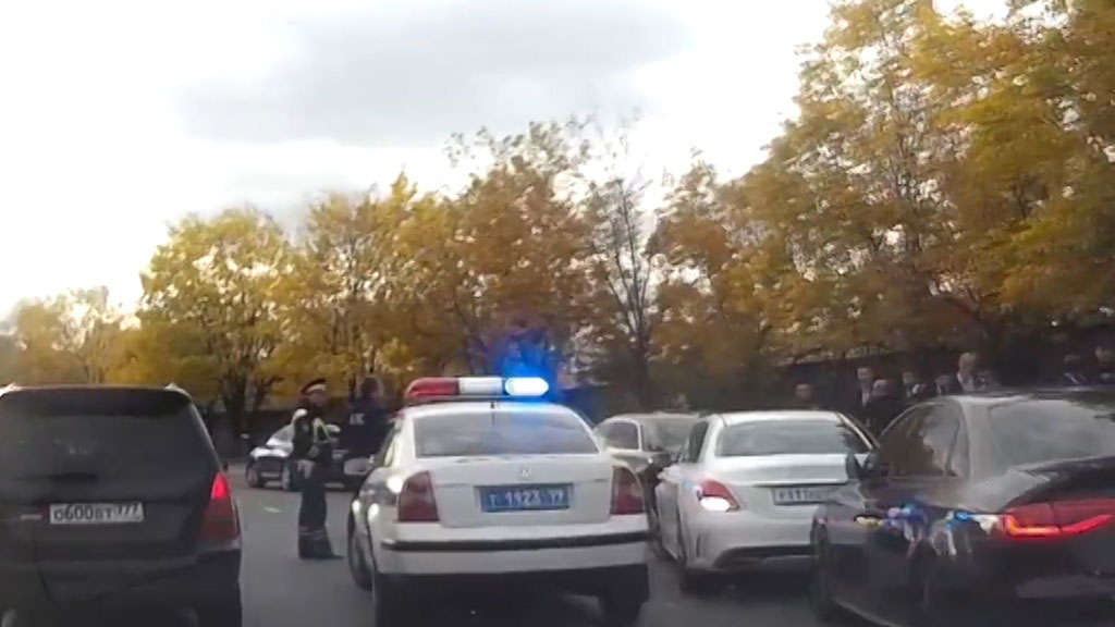 Видео про новости про плантацию