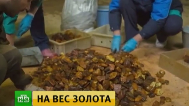 В Светлогорске открылся первый экономический форум специалистов по янтарю.
Калининградская область, аукционы, янтарь.
НТВ.Ru: новости, видео, программы телеканала НТВ В Светлогорске открылся первый экономический форум специалистов по янтарю.
Калининградская область, аукционы, янтарь.
НТВ.Ru: новости, видео, программы телеканала НТВ