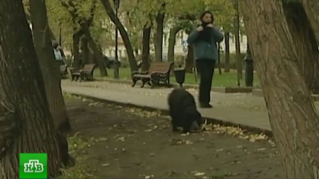 Погода беларуси на завтра