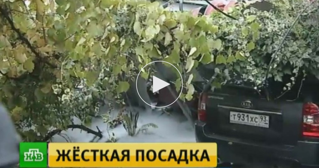 Канал 24 новости дня сегодня смотреть