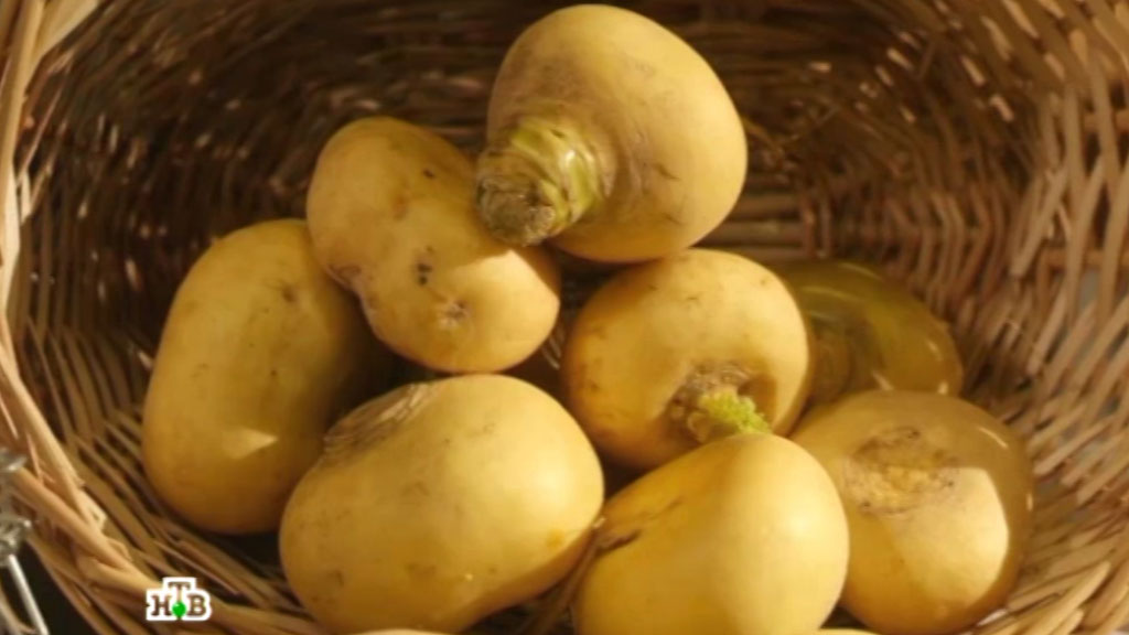 Сообщение блюдо из мяса птицы