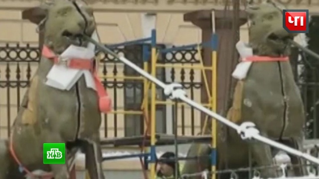 В Петербурге в 200-летних грифонах нашли записки и монеты.
Санкт-Петербург, история, мосты, реконструкция и реставрация, скульптура.
НТВ.Ru: новости, видео, программы телеканала НТВ В Петербурге в 200-летних грифонах нашли записки и монеты.
Санкт-Петербург, история, мосты, реконструкция и реставрация, скульптура.
НТВ.Ru: новости, видео, программы телеканала НТВ