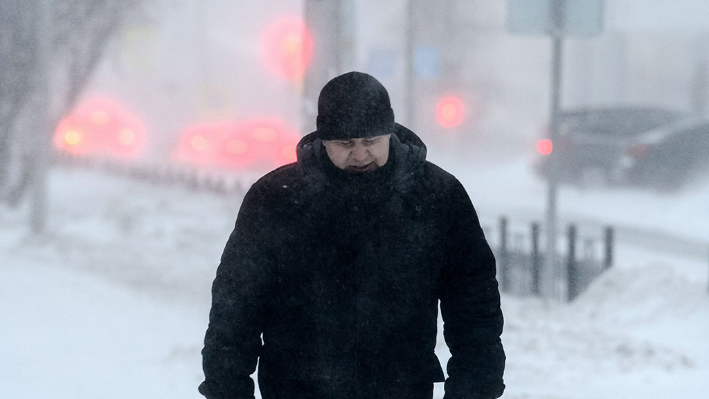Погода в мукачево закарпатская область