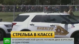 Свежие новости с украины и новороссии