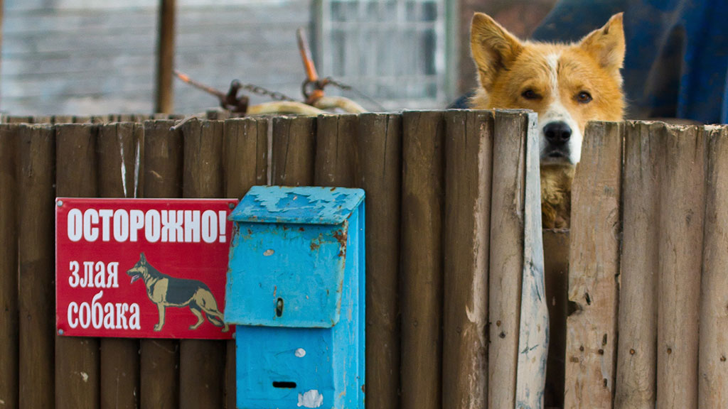 Законопроект о защите жилья любыми способами.
Госдума, законодательство, кражи и ограбления, нападения, НТВ.
НТВ.Ru: новости, видео, программы телеканала НТВ Законопроект о защите жилья любыми способами.
Госдума, законодательство, кражи и ограбления, нападения, НТВ.
НТВ.Ru: новости, видео, программы телеканала НТВ