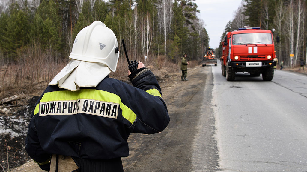 В Приморье устранили все лесные пожары
