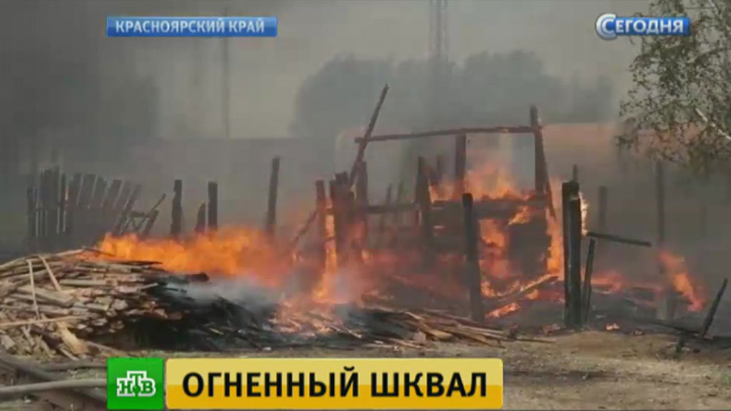 Новости ветеринарии орловской области