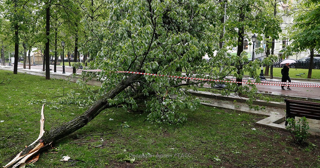 Погода в судаке на 5 дня