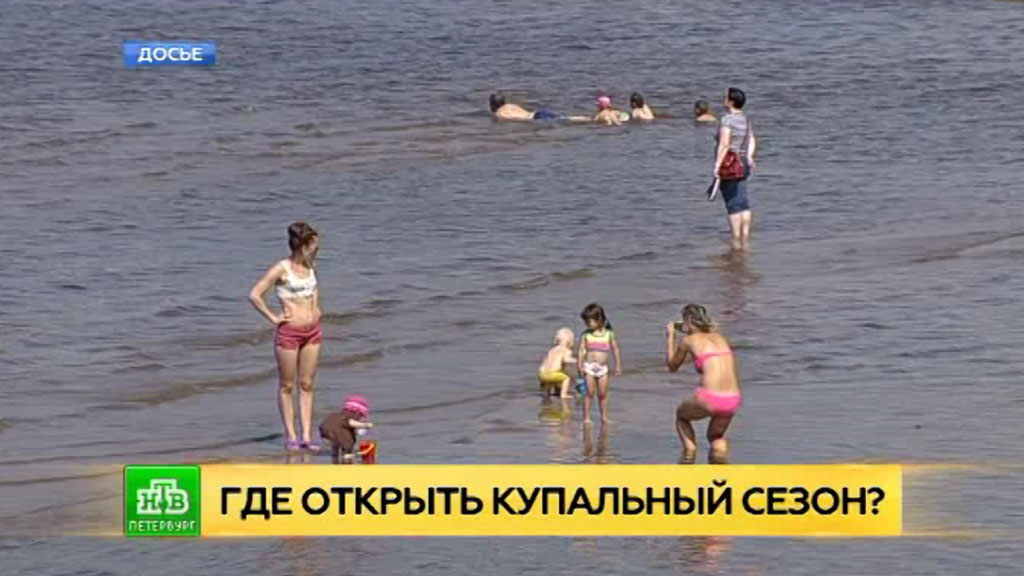 Новости экологии на сайте