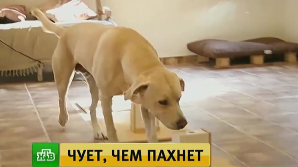 рак легких запах изо рта рак легких запах изо рта