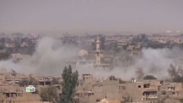Сирийские военные начали наступление на промышленные районы Дейр-эз-Зора.
Сирия, армия и флот РФ, войны и вооруженные конфликты, терроризм.
НТВ.Ru: новости, видео, программы телеканала НТВ Сирийские военные начали наступление на промышленные районы Дейр-эз-Зора.
Сирия, армия и флот РФ, войны и вооруженные конфликты, терроризм.
НТВ.Ru: новости, видео, программы телеканала НТВ